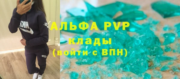 индика Белокуриха