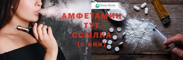 индика Белокуриха