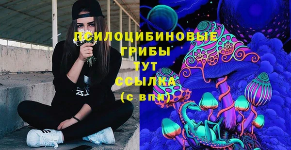 индика Белокуриха