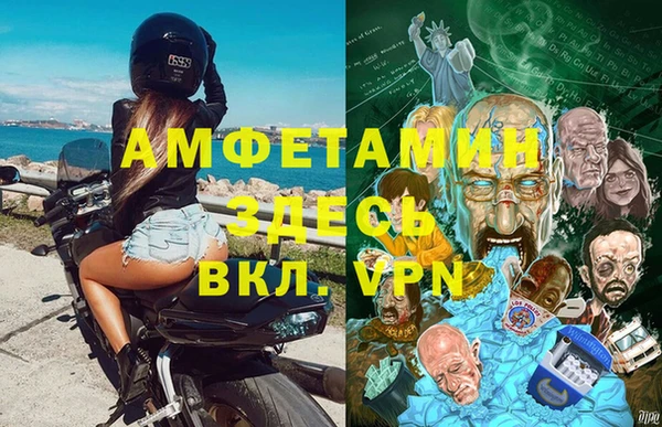 индика Белокуриха
