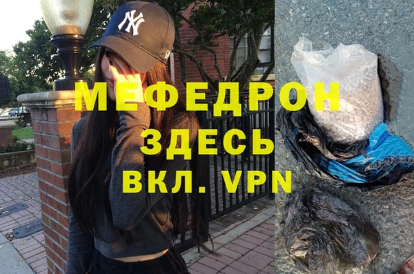 индика Белокуриха