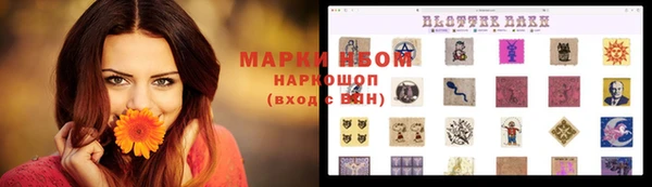 индика Белокуриха