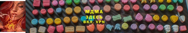 индика Белокуриха