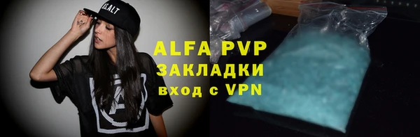 индика Белокуриха
