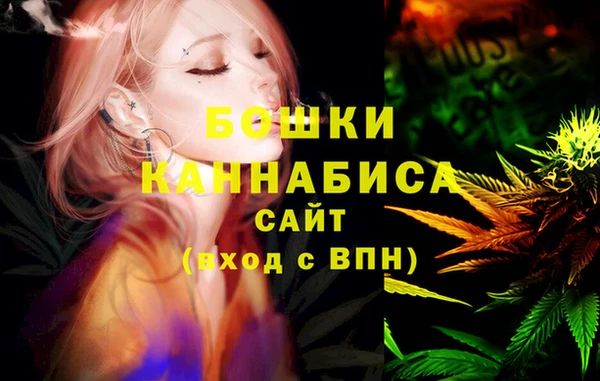 индика Белокуриха