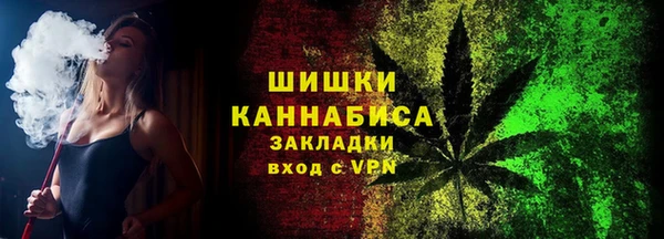индика Белокуриха