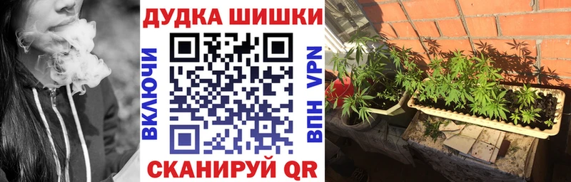Купить закладки  Данилов  Марихуана THC 21% 